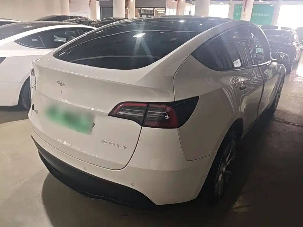 Tesla Model Y — миниатюра 7