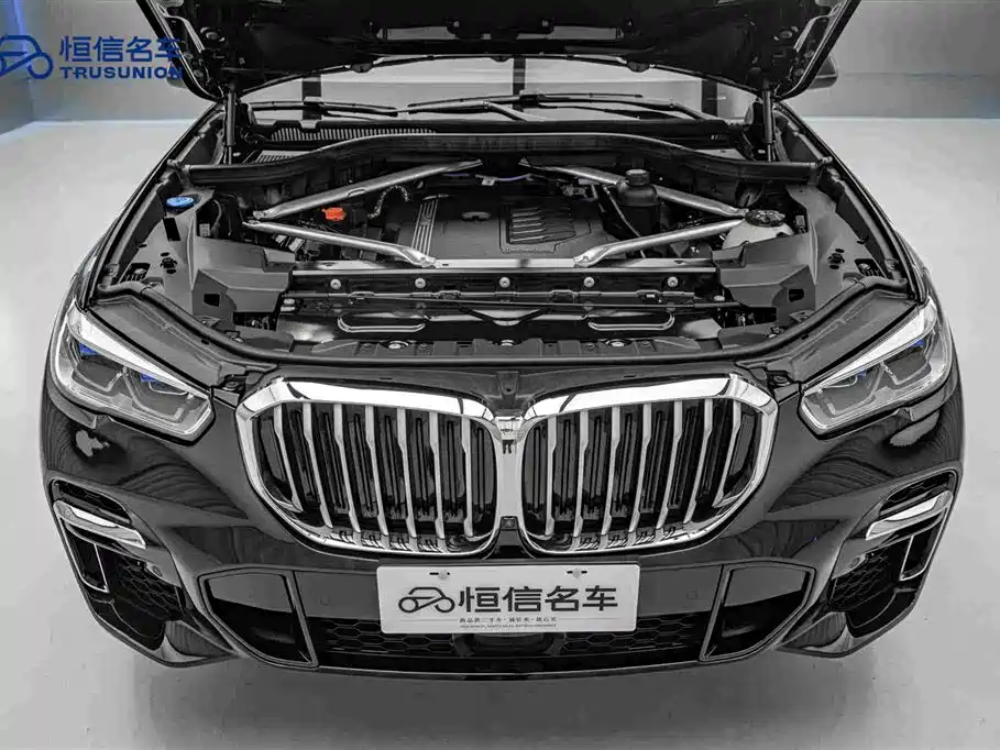BMW X5 — миниатюра 21