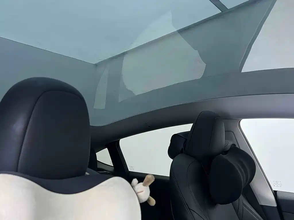 Tesla Model Y — миниатюра 10