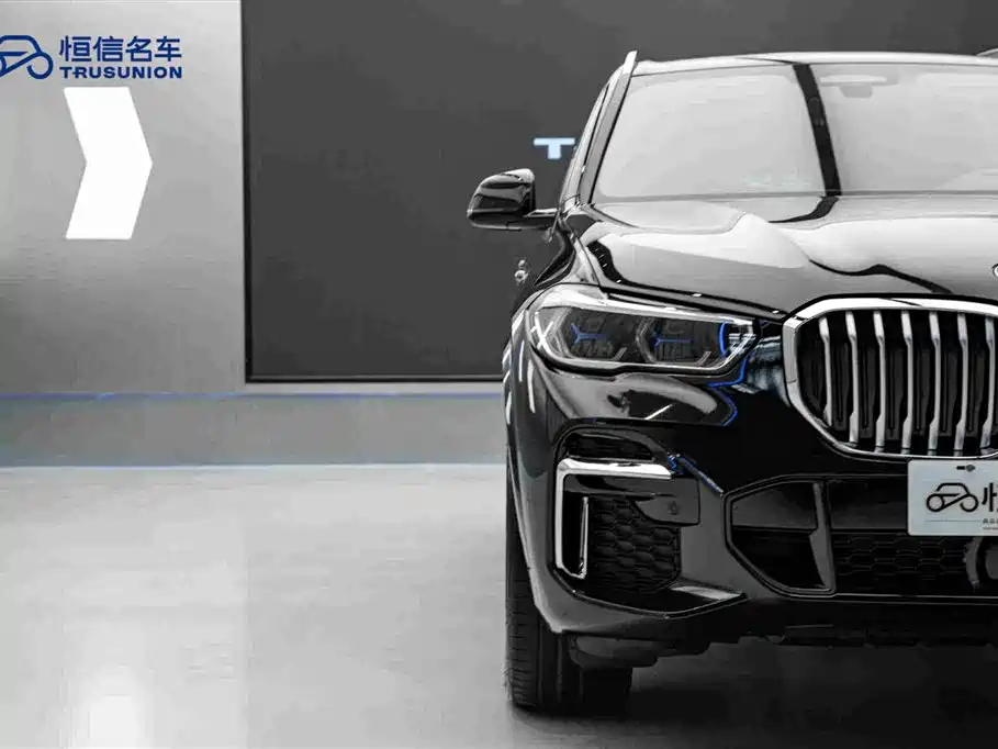 BMW X5 — миниатюра 8