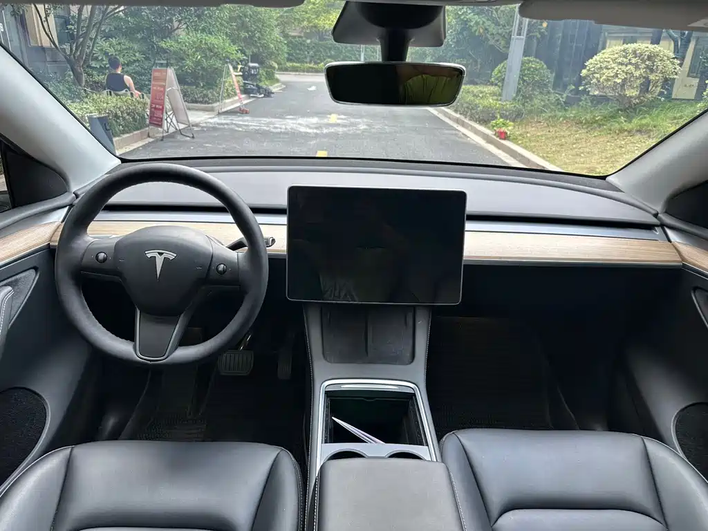 Tesla Model Y — миниатюра 11