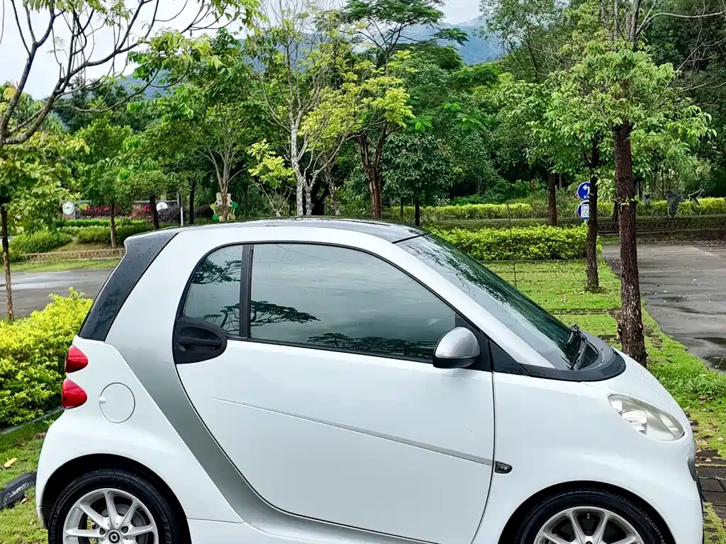 smart Smart Fortwo — миниатюра 39