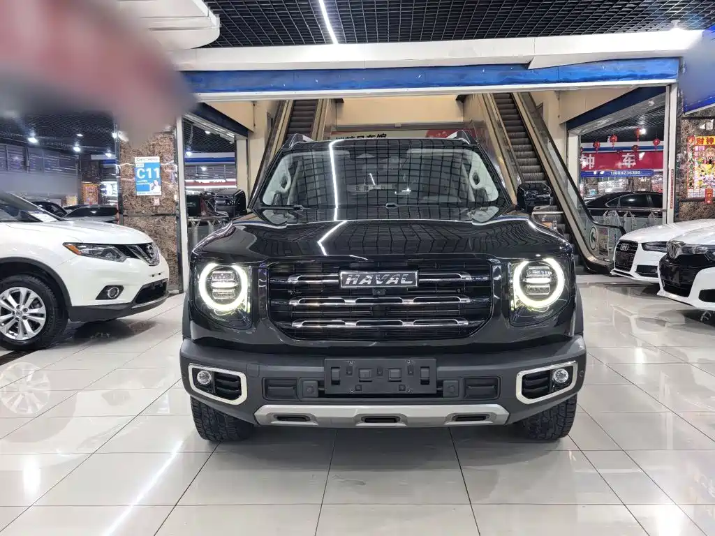 Haval Big Dog — миниатюра 8