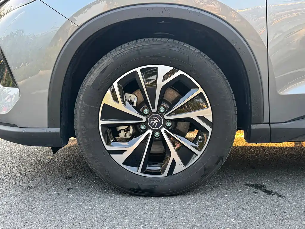 BYD Pro New Energy — миниатюра 22