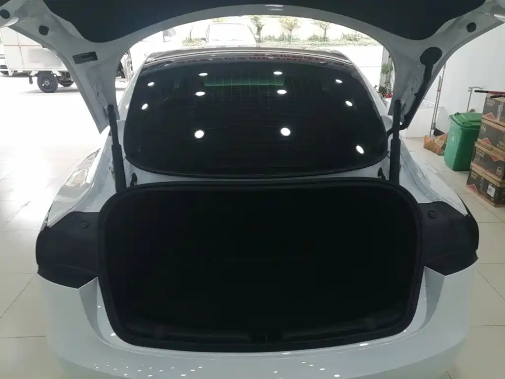 Tesla Model 3 — миниатюра 19