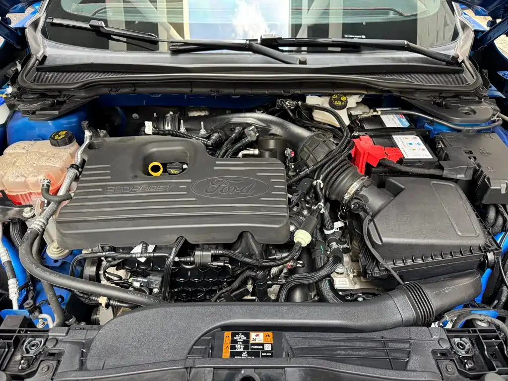 Ford Evos — миниатюра 7
