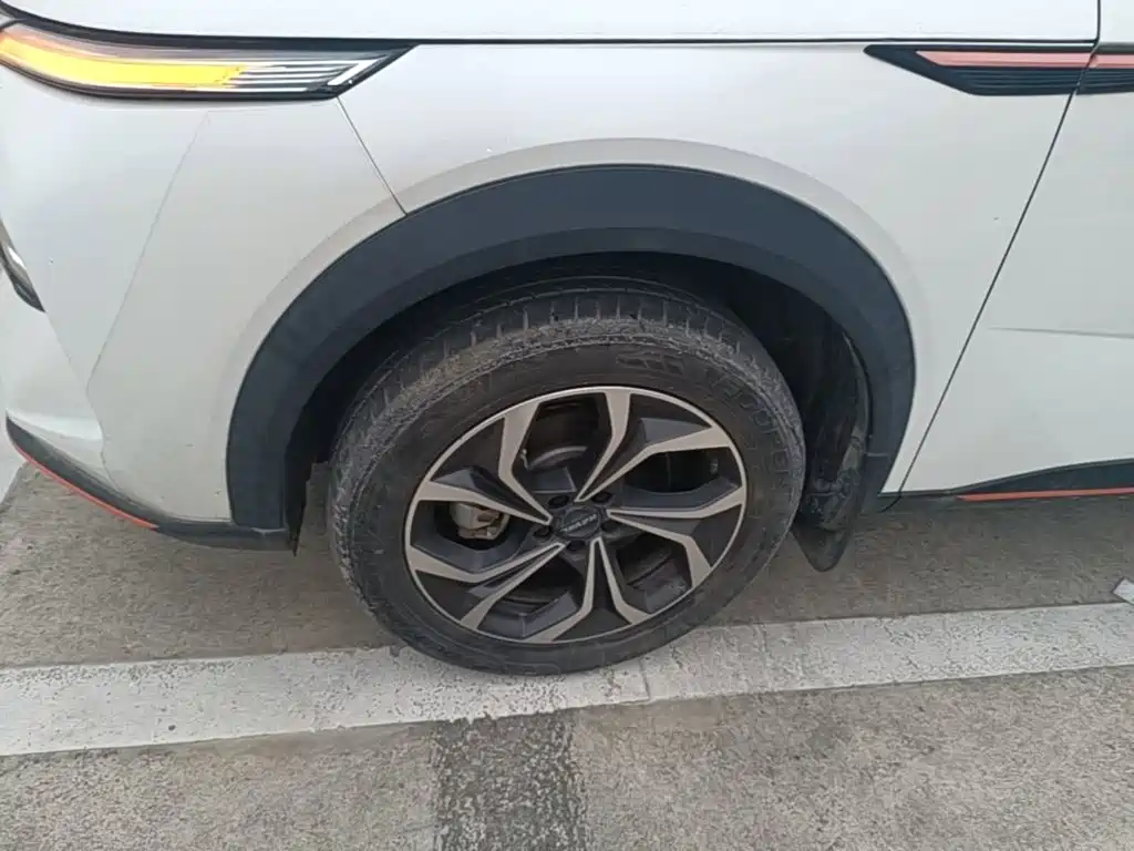 Haval Shenshou — миниатюра 23
