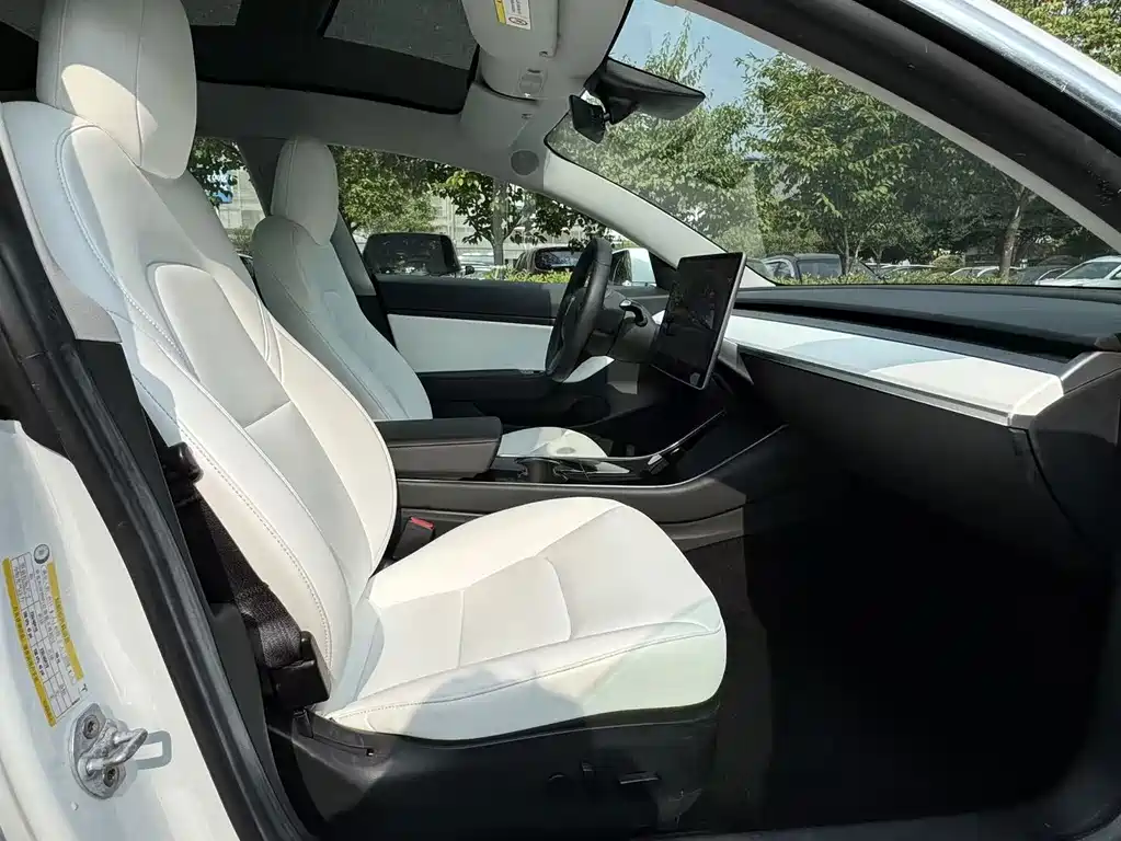 Tesla Model 3 — миниатюра 13