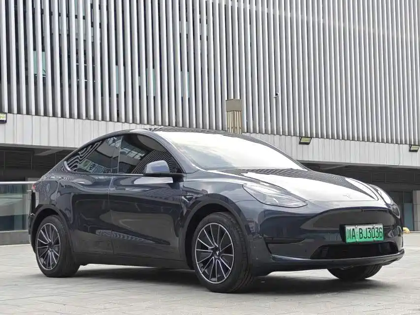 Tesla Model Y — миниатюра 3