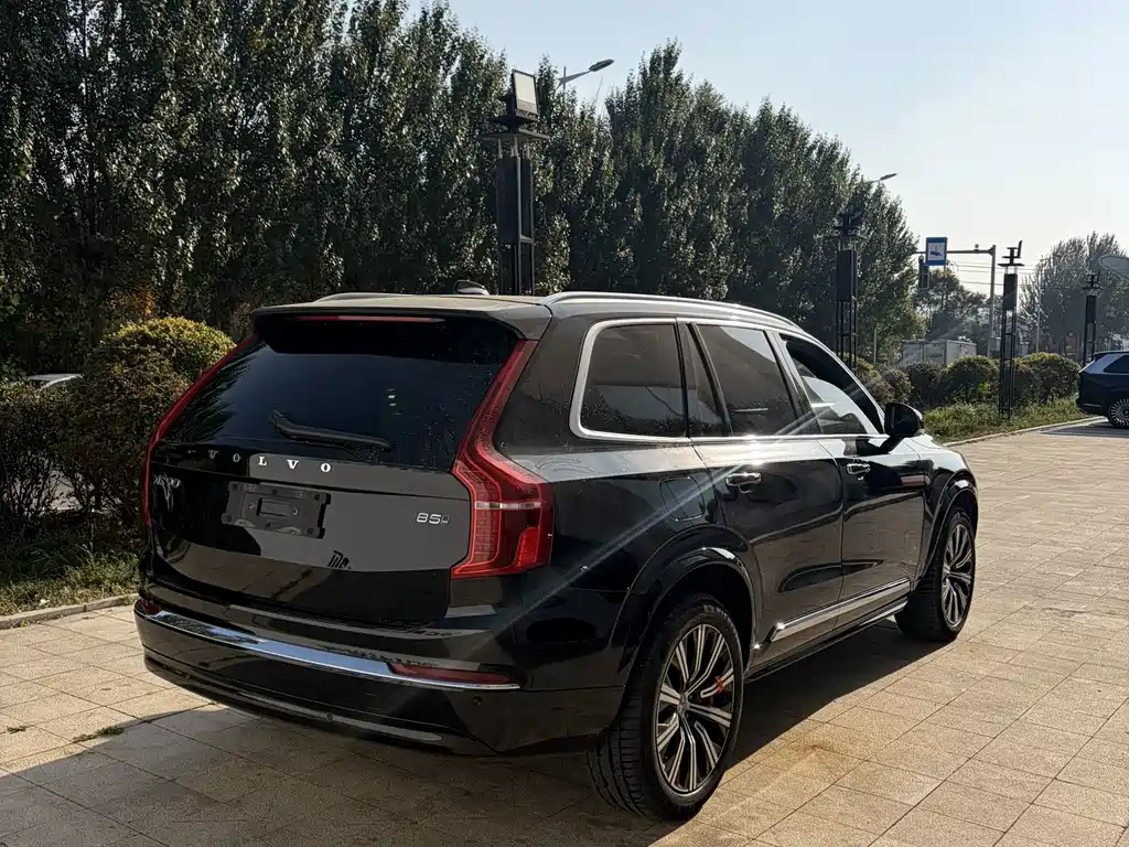 Volvo XC90 — миниатюра 6
