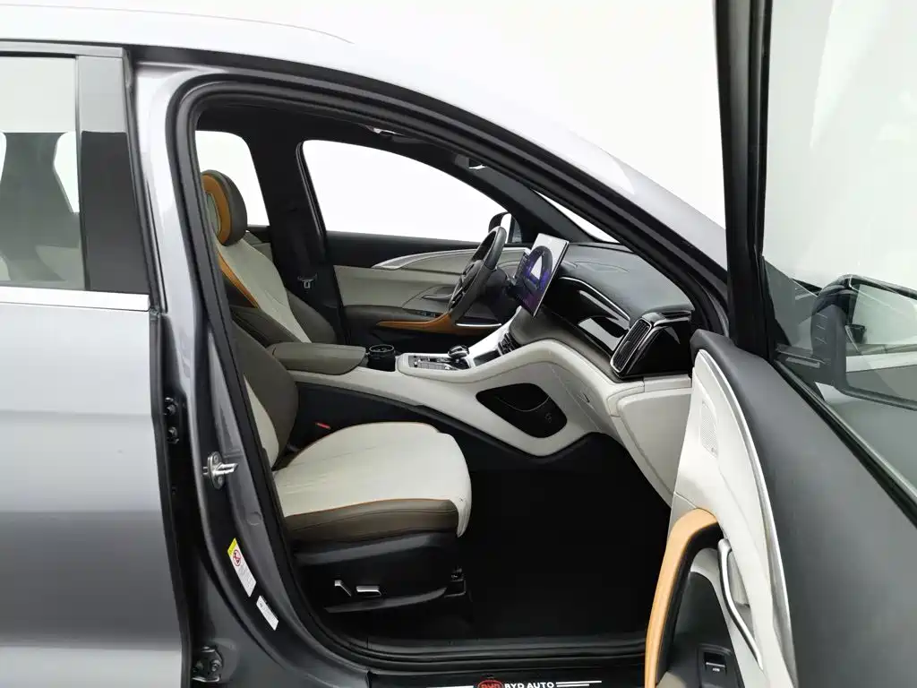 BYD Pro New Energy — миниатюра 23