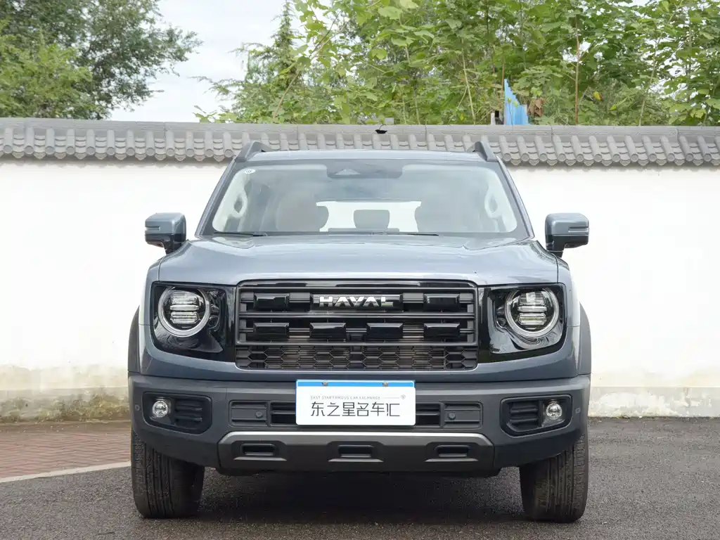 Haval Big Dog — миниатюра 2