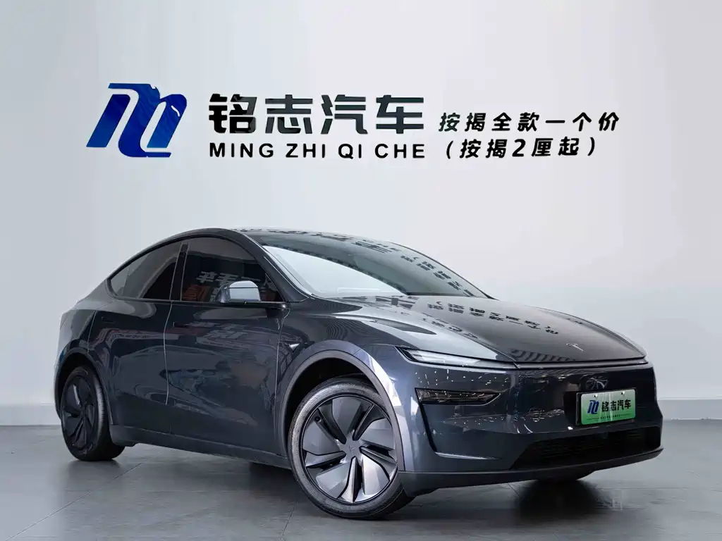Tesla Model Y — миниатюра 4