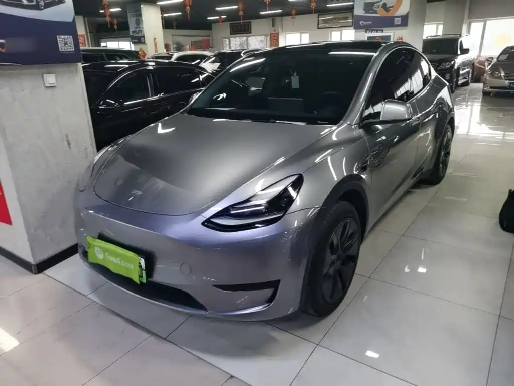 Tesla Model Y — миниатюра 2