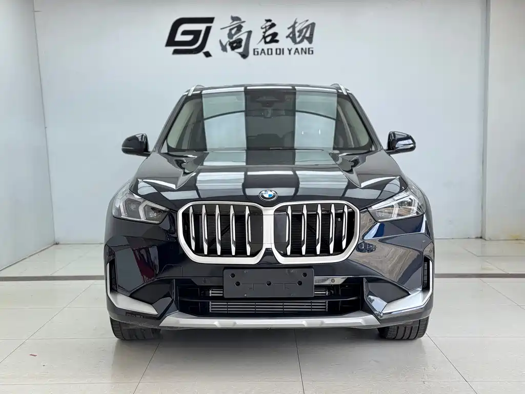 BMW X1 — миниатюра 2