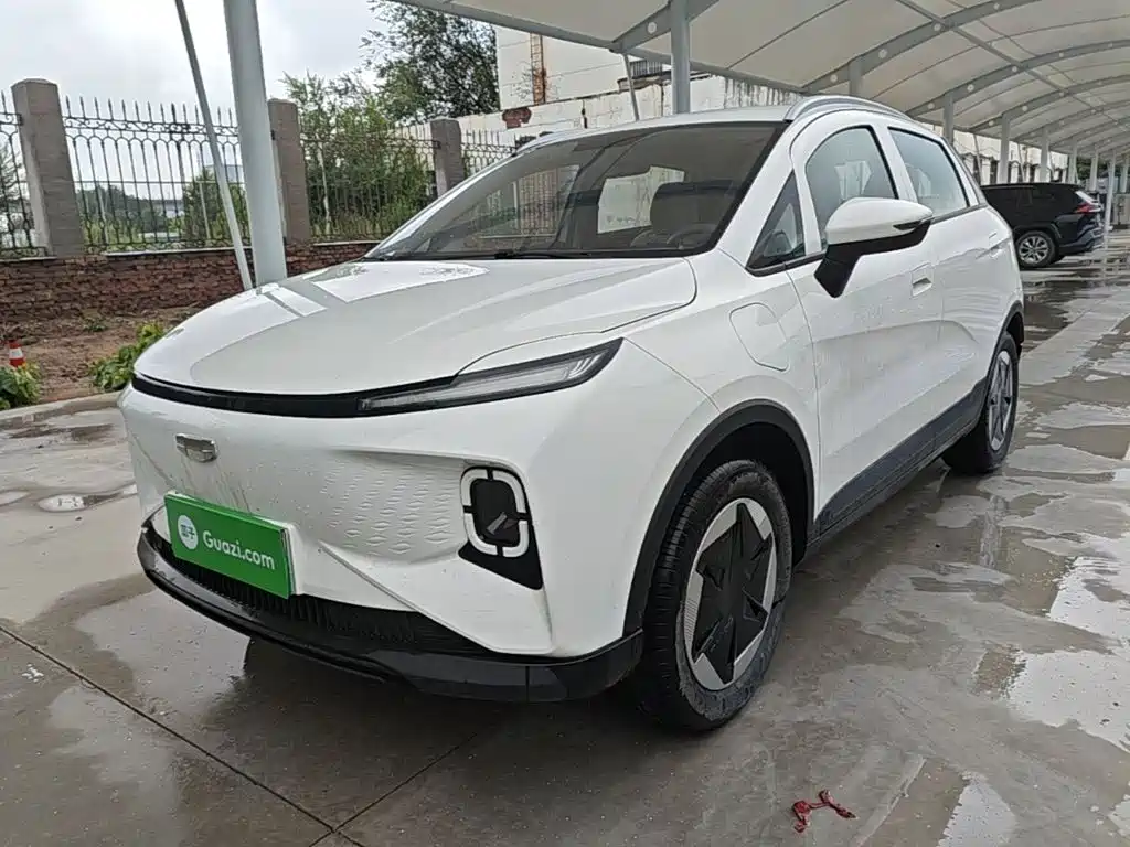 Geely Geometry E Firefly 2024 301km Flow Light