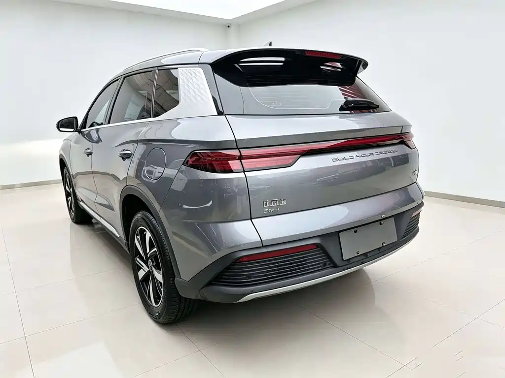 BYD Pro New Energy — миниатюра 6
