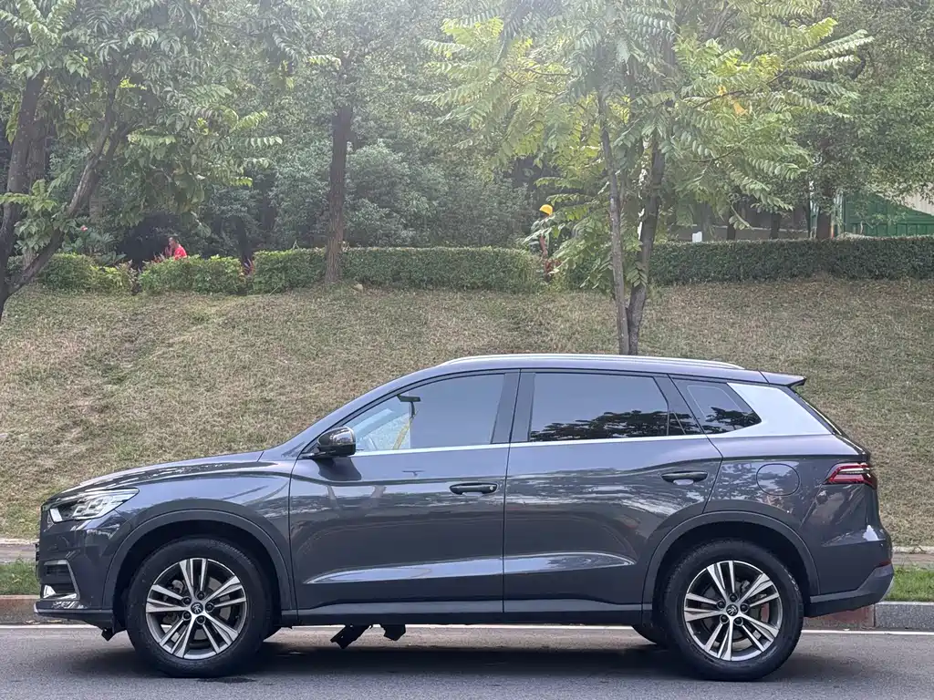 BYD Pro — миниатюра 3