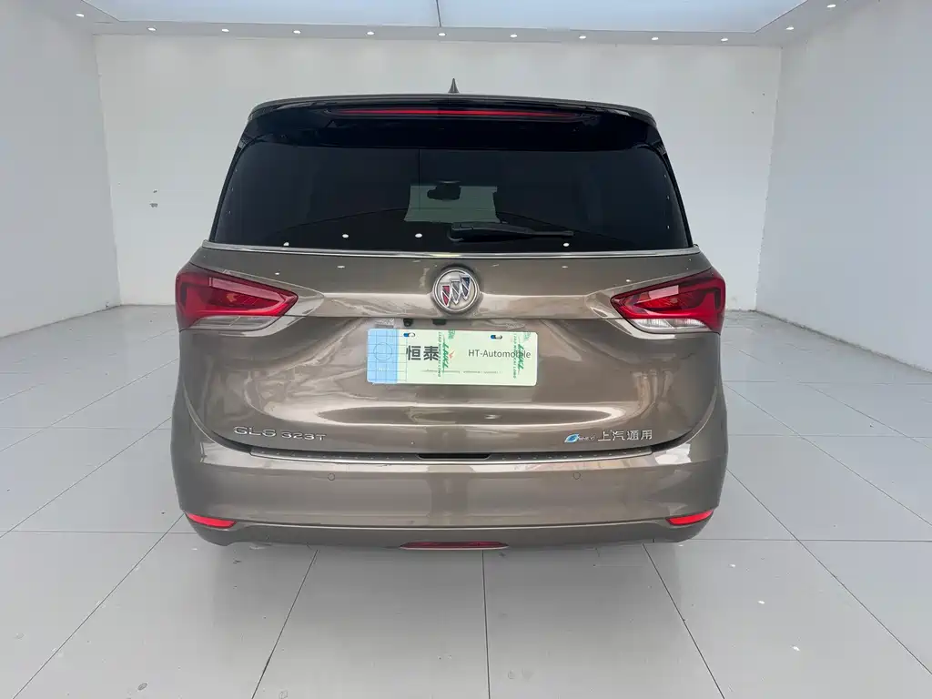 Buick GL6 — миниатюра 8