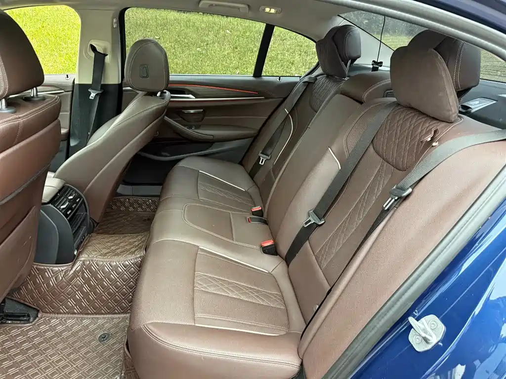 BMW 5 Series 5 2022 530Li Lead Luxury