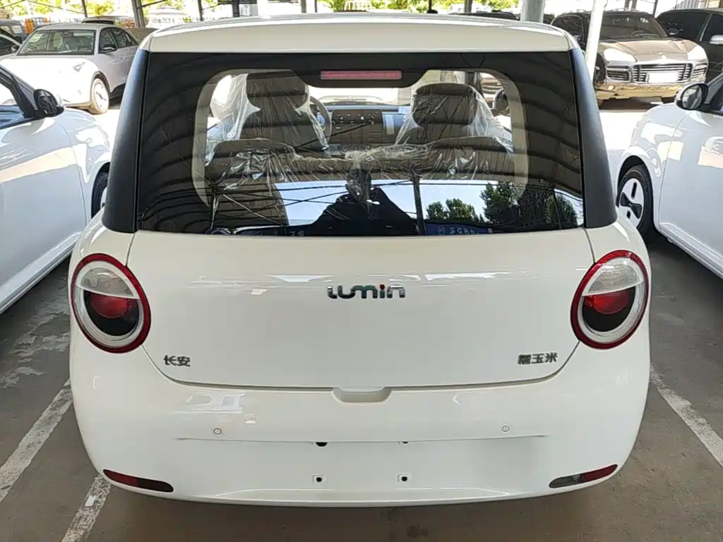 Qiyuan Lumin — миниатюра 6