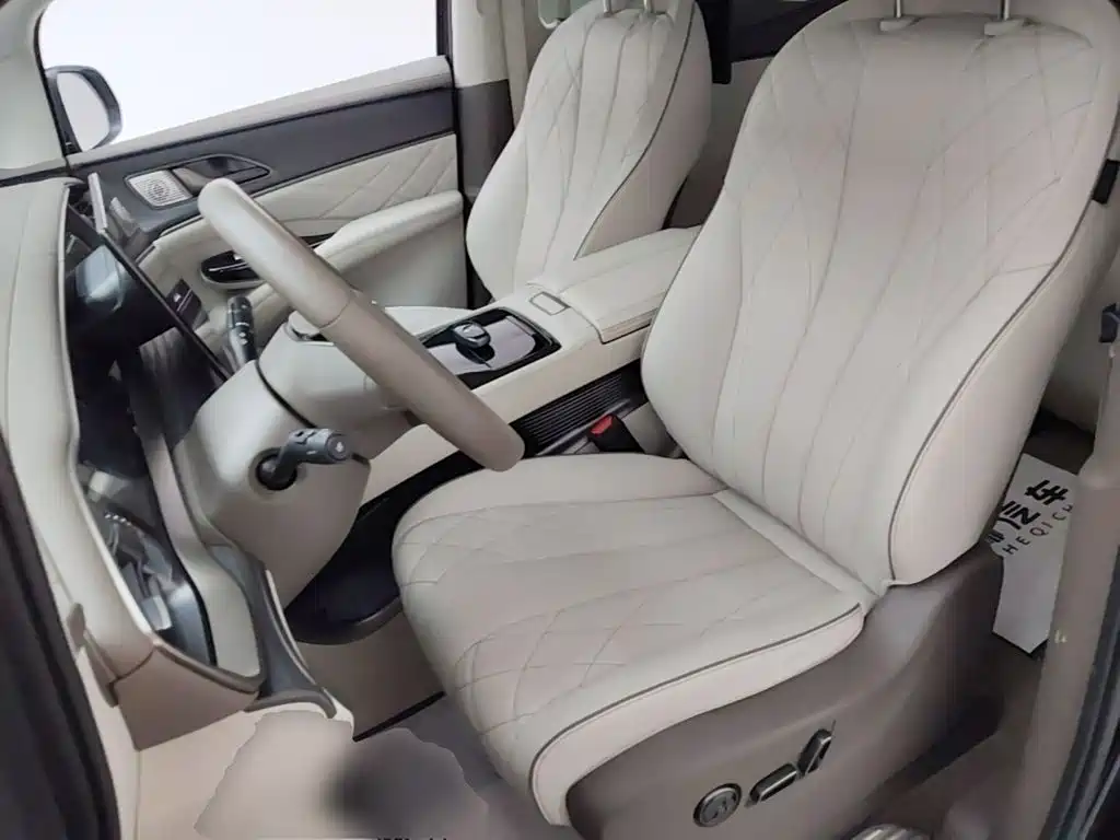 Denza Denza D9 — миниатюра 15