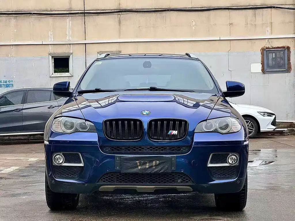 BMW X6 — миниатюра 2
