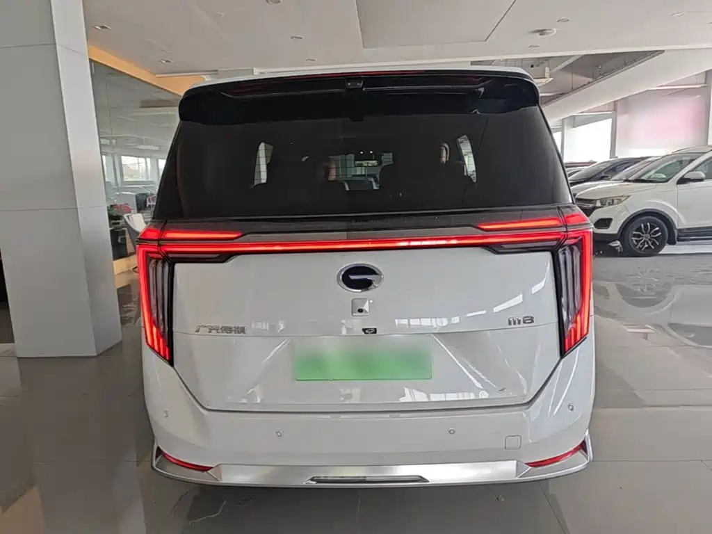 GAC Motor Trumpchi Xiangwang M8 — миниатюра 6