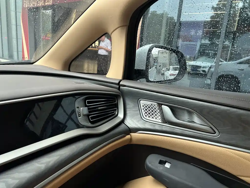 Denza Denza D9 — миниатюра 11