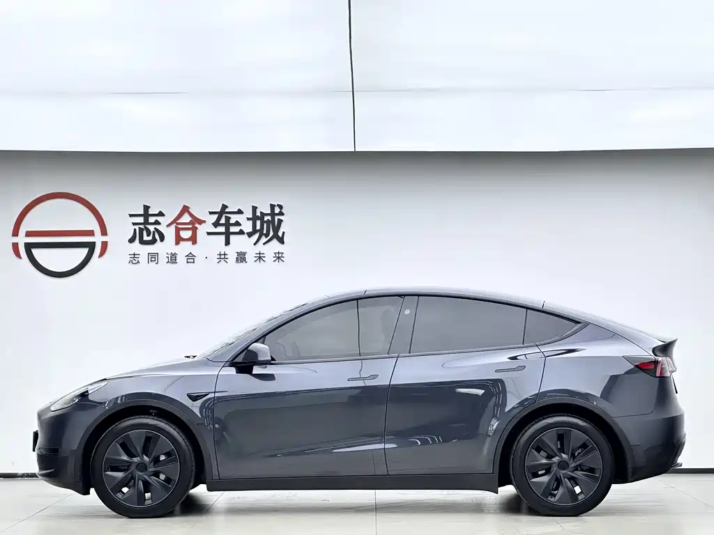 Tesla Model Y — миниатюра 9