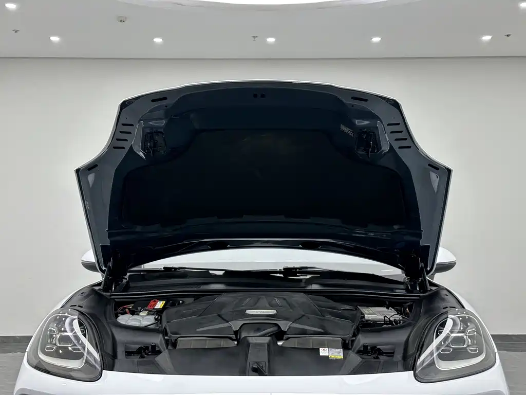 Porsche Cayenne — миниатюра 20
