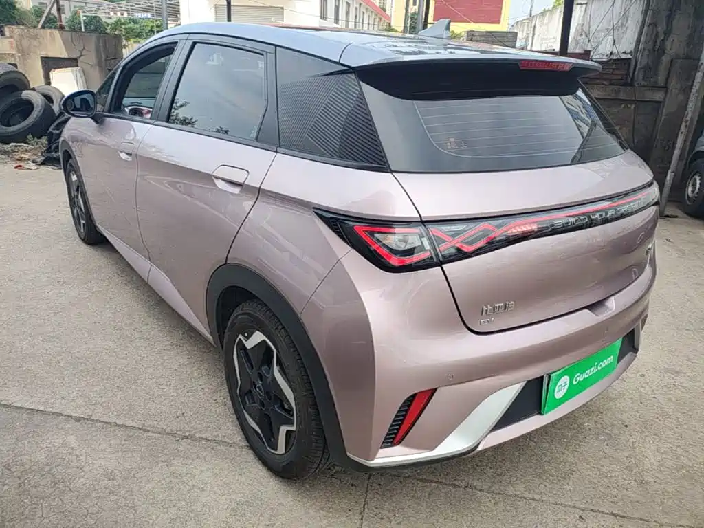BYD Dolphin 2021 405km Fashion