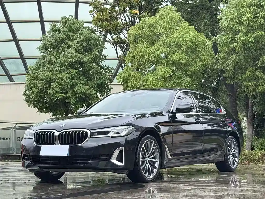 BMW 5 Series 5 2021 530Li Premium Luxury