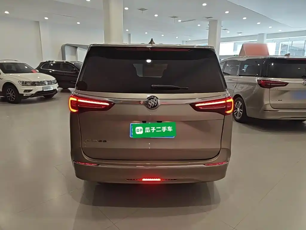 Buick GL8 — миниатюра 6