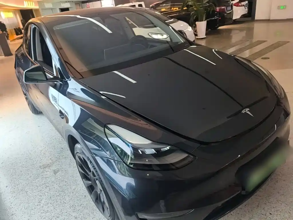 Tesla Model Y — миниатюра 4