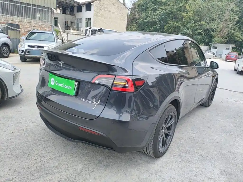 Tesla Model Y — миниатюра 7