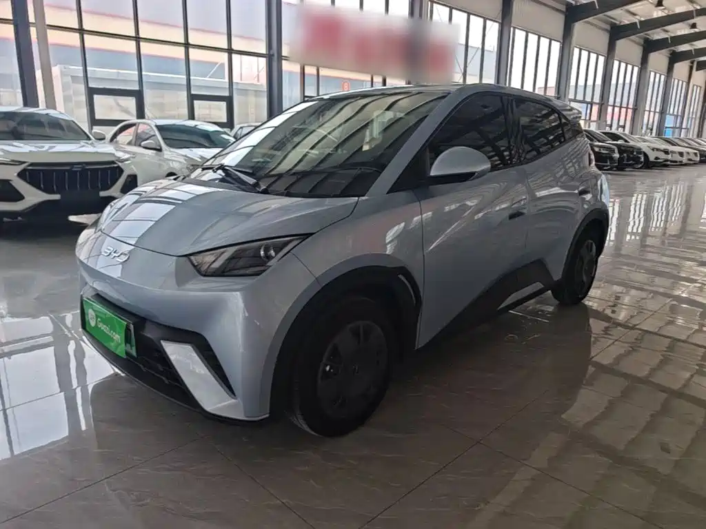 BYD Seagull