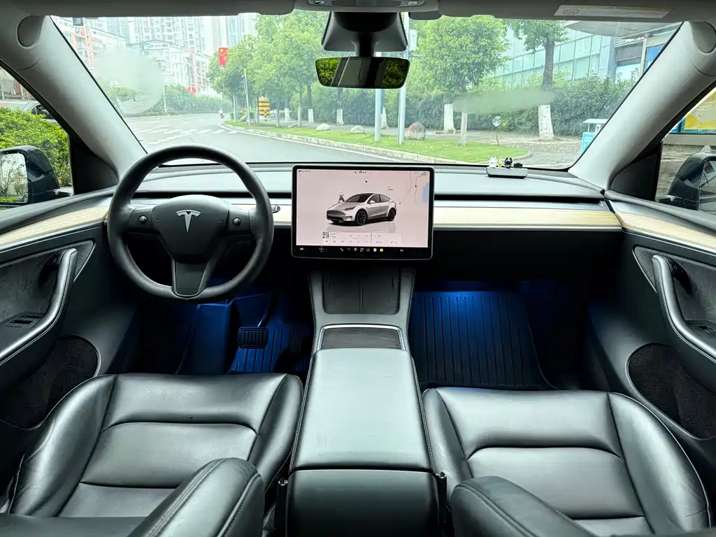 Tesla Model Y — миниатюра 18