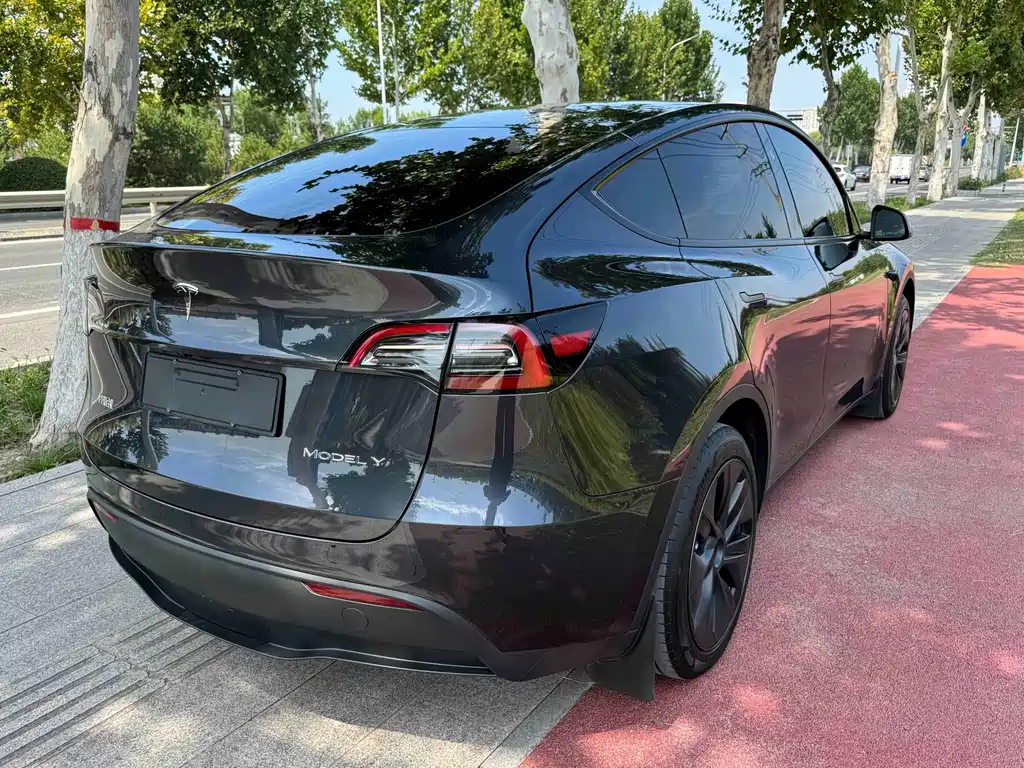 Tesla Model Y — миниатюра 4