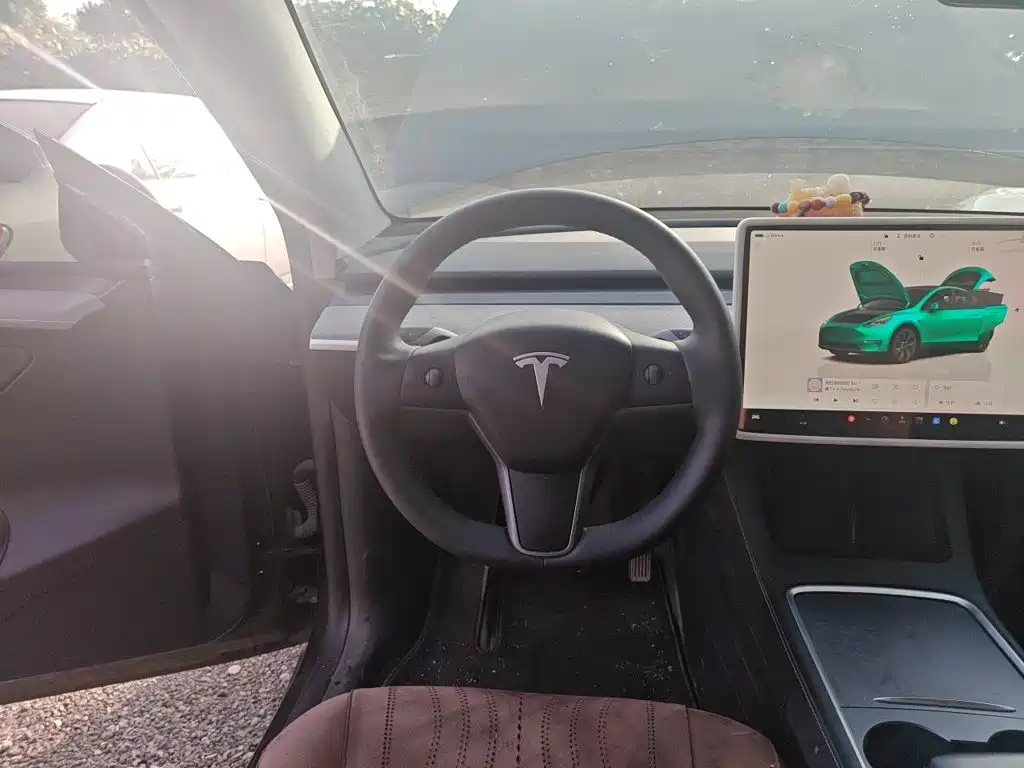 Tesla Model Y — миниатюра 3