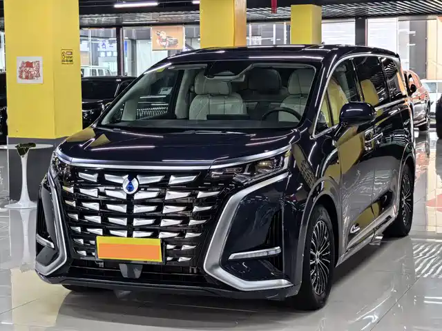2024 Denza D9