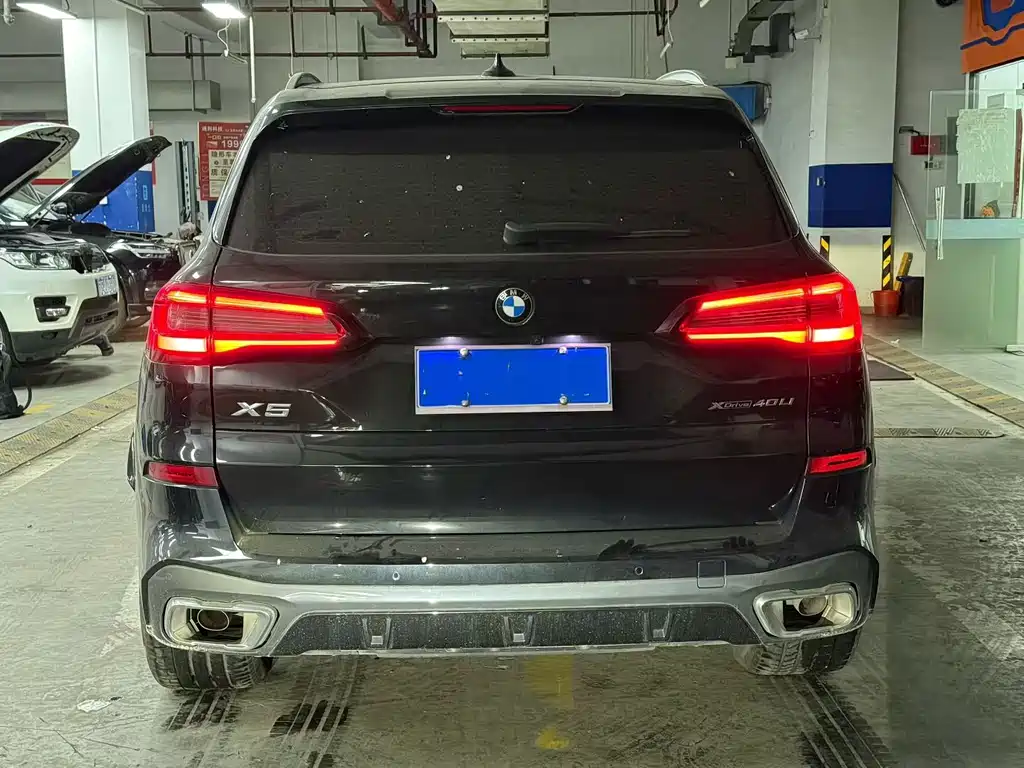 BMW X5 — миниатюра 8