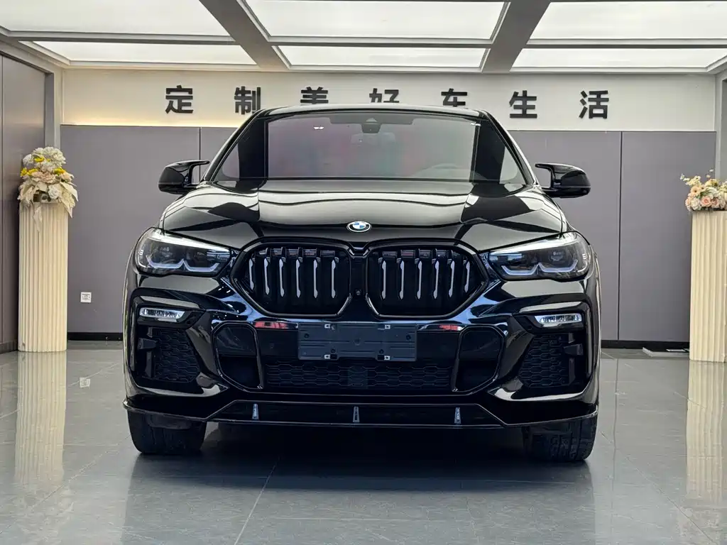 BMW X6 — миниатюра 2