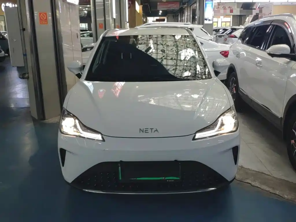 Neta Neta AYA — миниатюра 3
