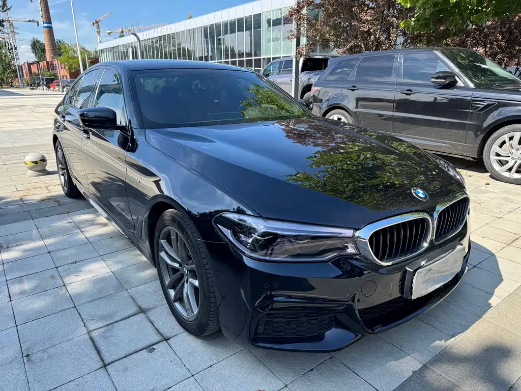 BMW 5 Series (Import) — миниатюра 3