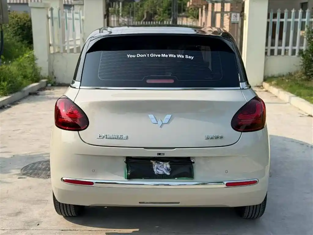 Wuling Binguo 2024 333km Enjoy
