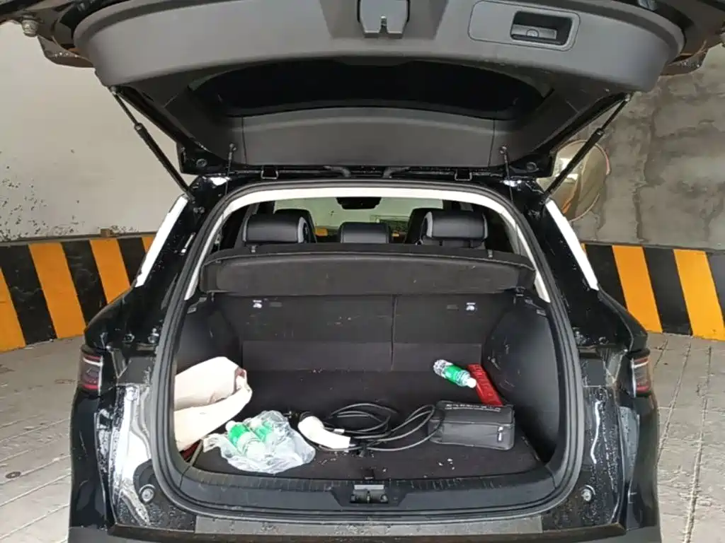 BYD Sealion 05 DM-i — миниатюра 19