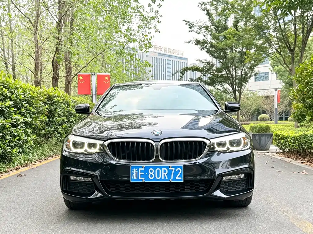 BMW 5 Series — миниатюра 2