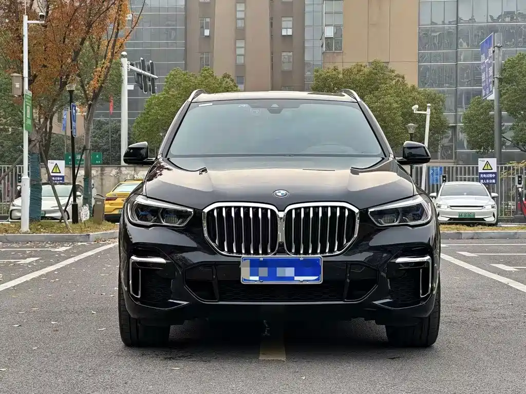 BMW X5 — миниатюра 2