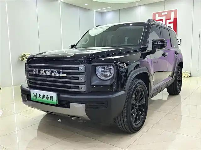 HAVAL RAPTORS NEW ENERGY 2025